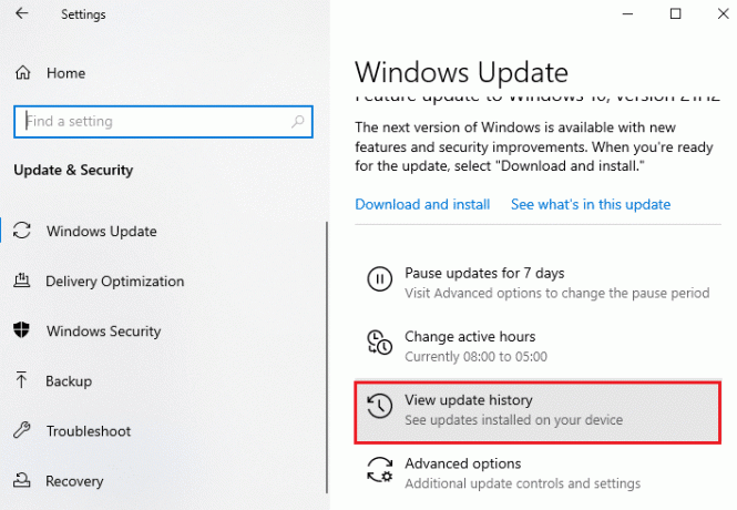 spustelėkite parinktį Peržiūrėti naujinimų istoriją. Kaip ištaisyti „Windows 10“ naujinimo klaidą 0x80072ee7