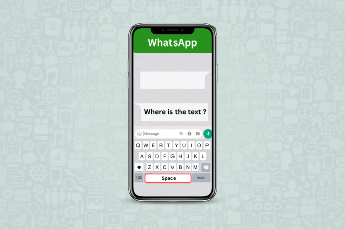Как отправить пустое сообщение на WhatsApp iPhone