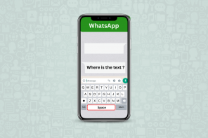 Как отправить пустое сообщение на WhatsApp iPhone – TechCult