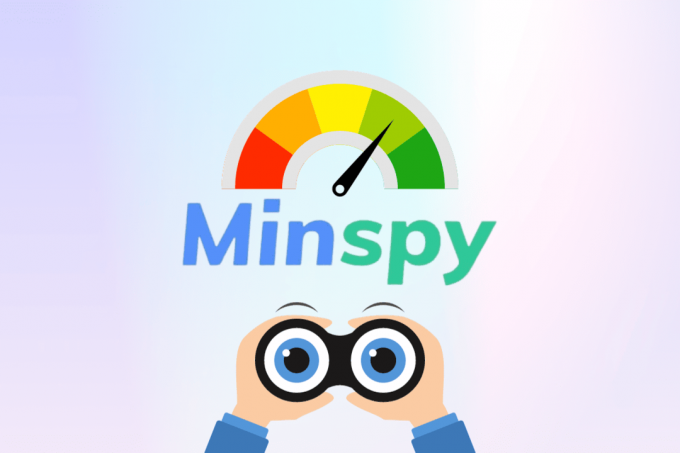 Revisión de Minspy 