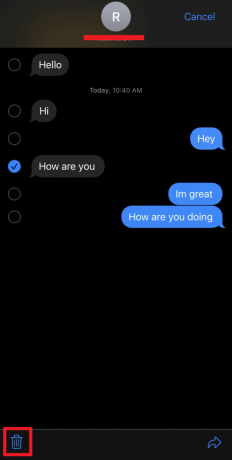 Торкніться значка Видалити. Щоб надіслати це повідомлення, виправте необхідність увімкнення iMessage