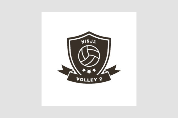 Ninja Volley 2 | labākās volejbola spēles Android ierīcēm
