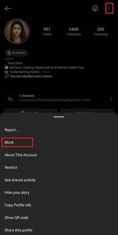 मेनू से ब्लॉक चुनें | इंस्टाग्राम स्टोरी प्रीव्यू कैसे देखें 
