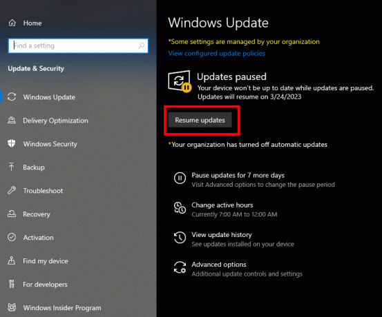 업데이트 확인 또는 업데이트 재개 | Windows 10에서 Xbox One 컨트롤러 드라이버 다운로드