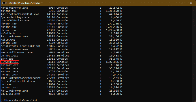 Näkyviin tulee luettelo tietokoneella suoritettavista tehtävistä. Vieritä ja etsi reagoimaton sovellustehtävä ja kopioi nimi.