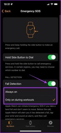 Програма для годинника Fall Detection Watch iPhone 1