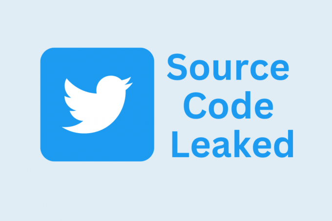 Časti zdrojového kódu Twitteru unikli online