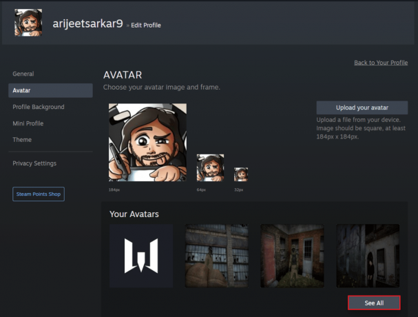klicka på knappen Se alla på Steam-profilens avatarsida i webbläsaren