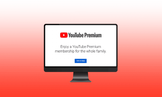 Ce este planul de familie în YouTube premium
