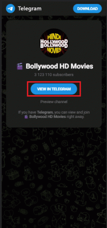 Bollywood HD Movies Telegrammkanal