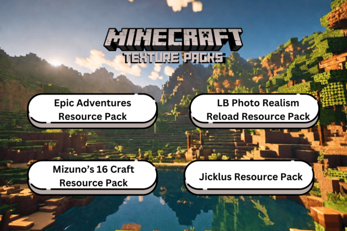 Os melhores pacotes de textura realistas do Minecraft