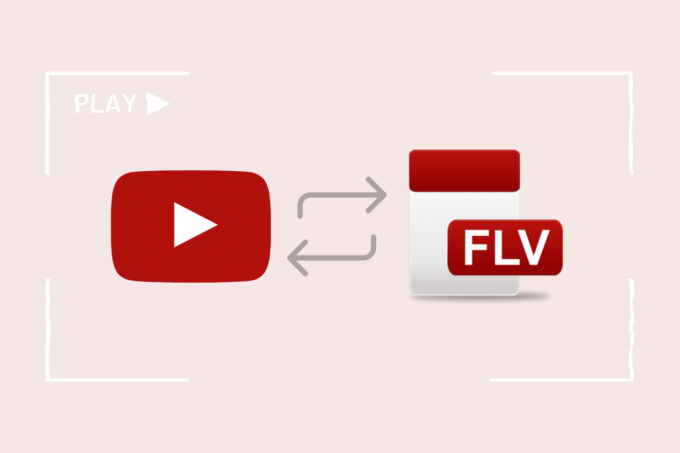 So konvertieren Sie YouTube-Videos in FLV