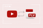 Sådan konverteres YouTube-videoer til FLV – TechCult