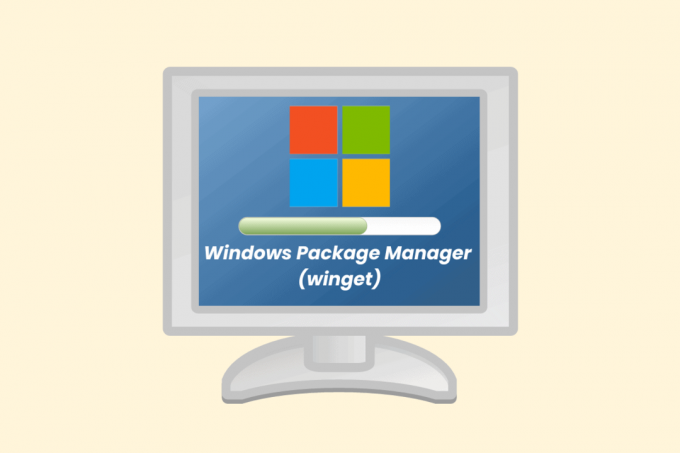 Cum se instalează winget pe Windows 11