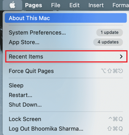 Fai clic sul menu Apple seleziona elementi recenti mac. Come disabilitare lo schermo diviso in Safari