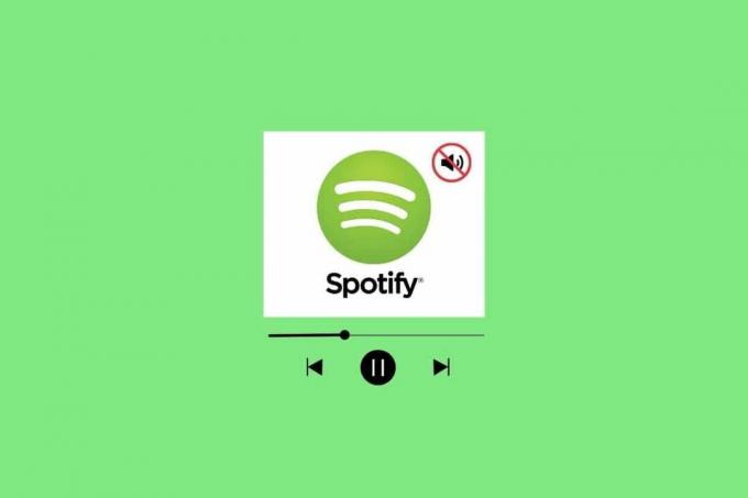 Fixa inget ljud på Spotify på Android