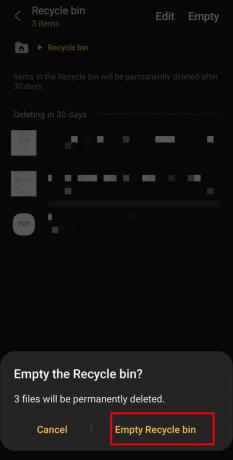 Galiausiai bakstelėkite Empty Recycle Bin, kad patvirtintumėte. | Kaip ištrinti atsisiuntimus „Android“?