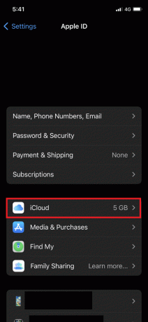 iCloud-Option auf dem iPhone