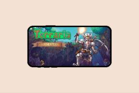 ¿Terraria Journey’s End en dispositivos móviles? – TechCult