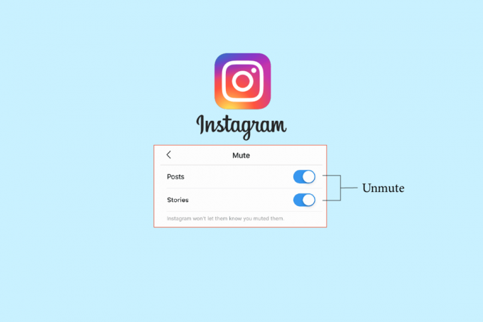 معرفة ما إذا كان شخص ما قد كتم صوتك على Instagram