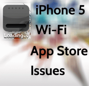 Javítsa ki az iOS App Store Wi-Fi sebességgel kapcsolatos problémáját iPhone 5-ön DNS-módosítással