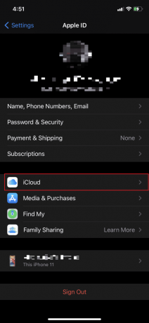 Bakstelėkite Apple ID – iCloud | peržiūrėti iMessages iš užblokuotų pokalbių