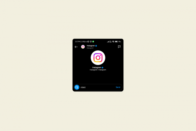 Vad betyder Silent på Instagram DM?