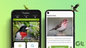 De 5 bästa apparna för fågelidentifiering för Android och iOS
