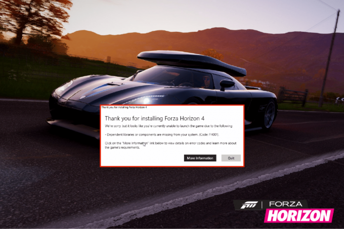 Korrigieren Sie Forza Horizon 4 FH001 in Windows 10