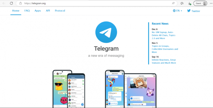 Telegramm-Webseite