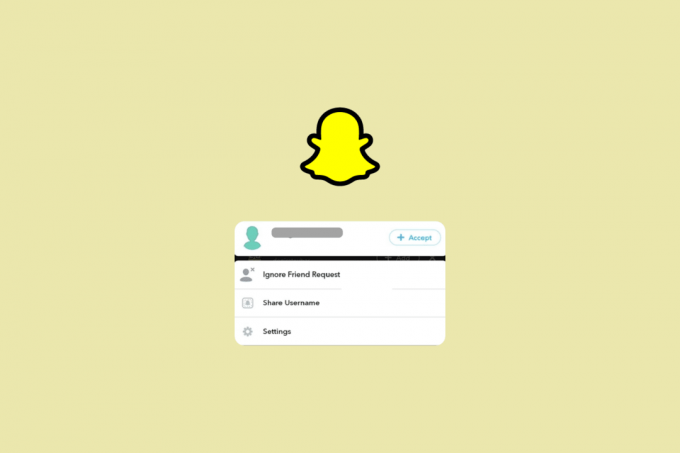 Ce înseamnă Ignorare solicitare de prietenie pe Snapchat?