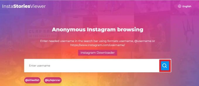 Indtast personens brugernavn i søgefeltet i insta stories Viewer | Se Instagram-opslag og historier uden en konto