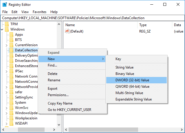 Fare clic con il pulsante destro del mouse su DataCollection, quindi selezionare Nuovo valore DWORD (32 bit)