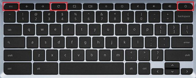 Натиснете клавишната комбинация Esc + Refresh + Power, за да превключите в режим за програмисти