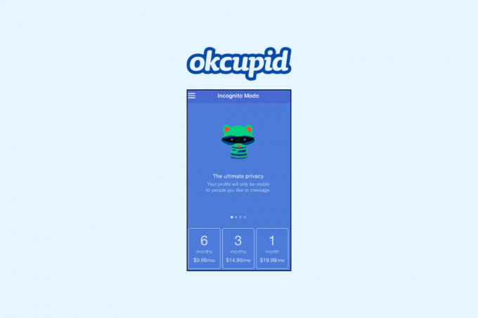 Hvor mye koster OkCupid inkognitomodus abonnement?