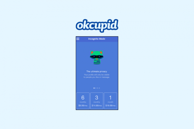 Wie viel kostet das Abonnement für den OkCupid Inkognito-Modus?