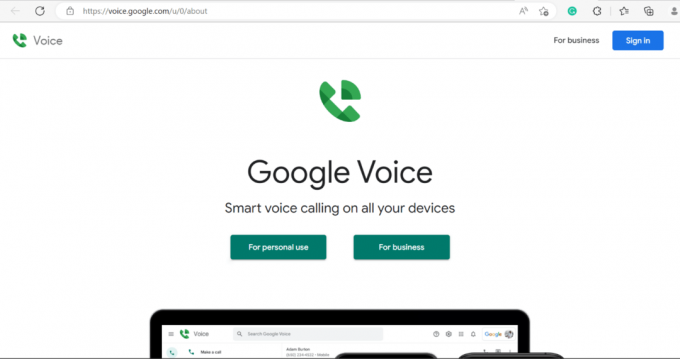 google voice o stranici 