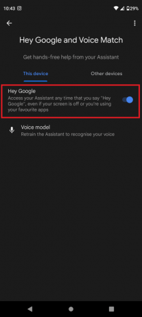 attiva Hey Google | soprannome per l'assistente google