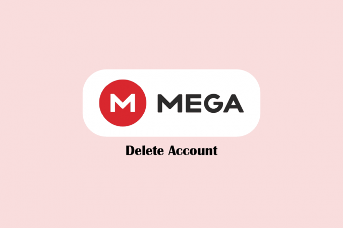 Cómo eliminar una cuenta MEGA