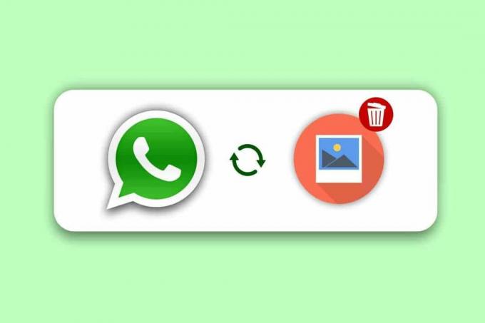 Czy możesz odzyskać usunięte zdjęcia na WhatsApp?