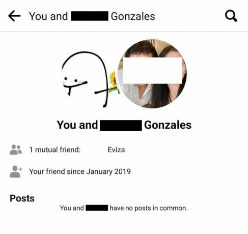 du kan se detaljene om vennskapet ditt med personen sammen med felles venner og vanlige innlegg.