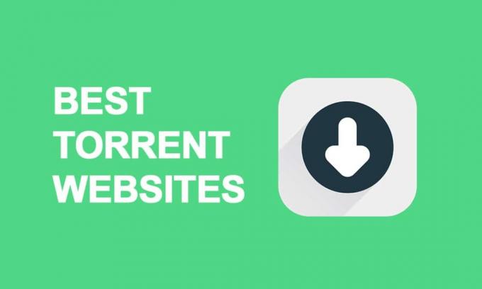 10 geriausių torrent svetainių