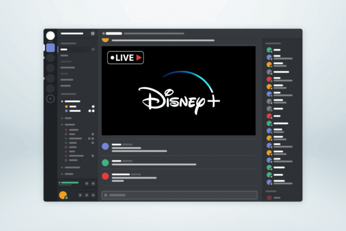 So streamen Sie Disney Plus auf Discord ohne schwarzen Bildschirm
