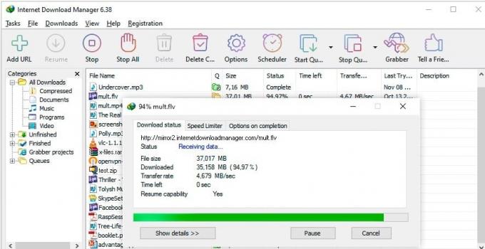 Internet Download Manager za Windows. 21 najboljših upraviteljev prenosov za Windows 10