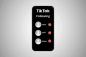 IPhone'da aynı anda TikTok'ta Herkesi Takibi Bırakma – TechCult
