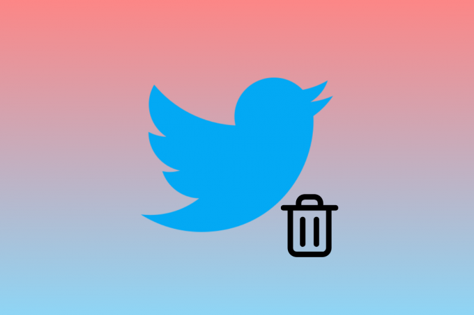 Очищення облікового запису Ілона Маска в Твіттері – чистий лист чи цифрова несправедливість