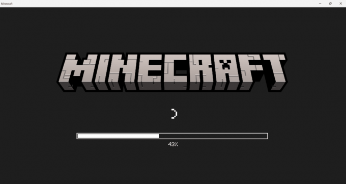 Ekrānā tiks sākta Minecraft spēles ielāde. Pagaidiet dažas sekundes, lai pabeigtu ielādi. Kā bez maksas iegūt Windows 10 Minecraft Edition