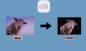 Hur man gör klistermärke från foto på iOS 16