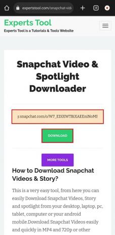 Reveniți la pagina web Experts Tool, inserați linkul în câmpul de text și apăsați pe DESCARCARE | Descărcare video Snapchat fără filigran