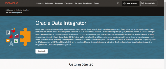 Oracle duomenų integratorius